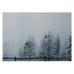 collage_image