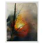 collage_image