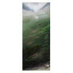 collage_image