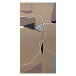 collage_image